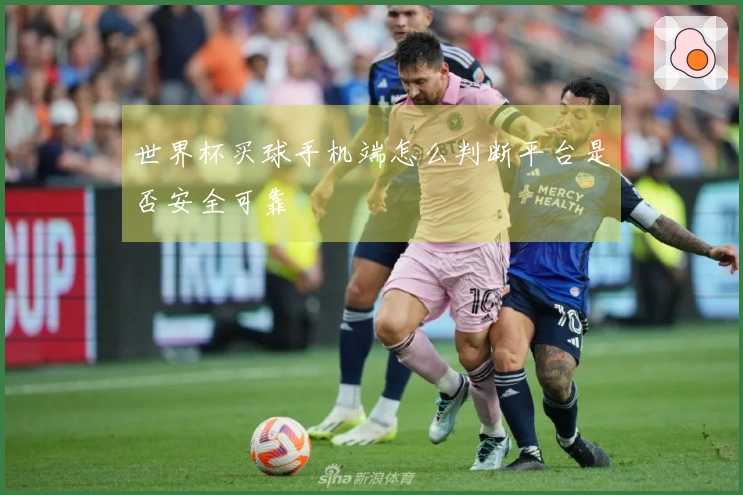 世界杯买球手机端怎么判断平台是否安全可靠